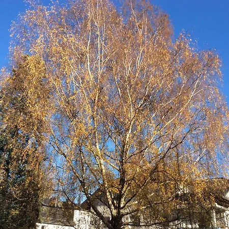 Ferienwohnung Mahlsdorf-ein Quäntchen Mehr Ferienhaus *